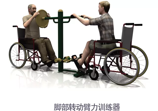 Outdoor Disabled Fitness Equipment