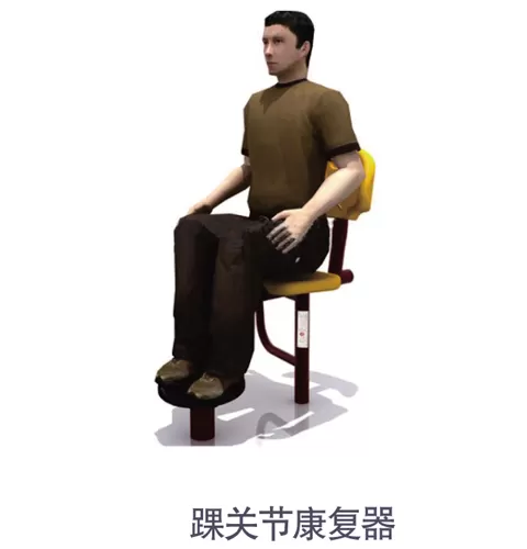 Outdoor Disabled Fitness Equipment