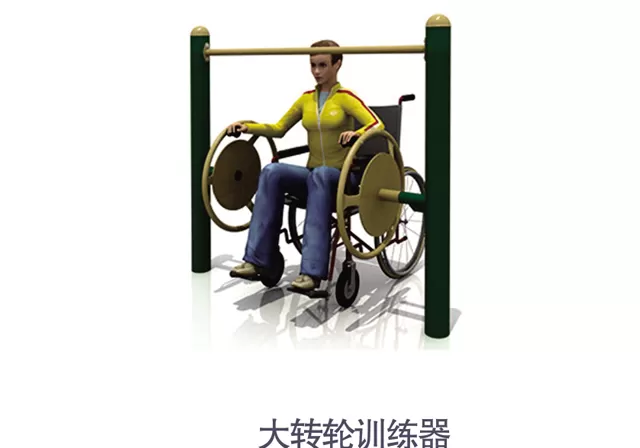 Outdoor Disabled Fitness Equipment