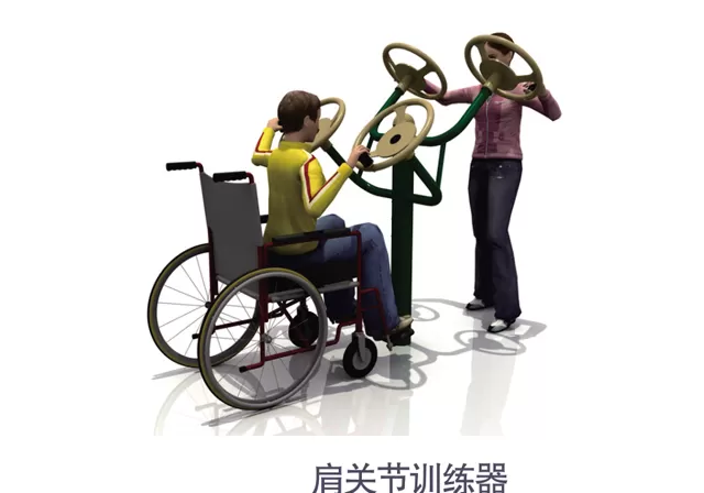 Outdoor Disabled Fitness Equipment