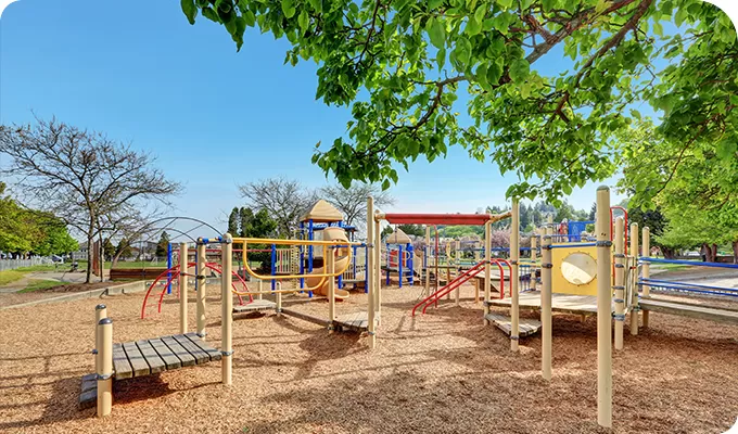 Design Your Dream Playground